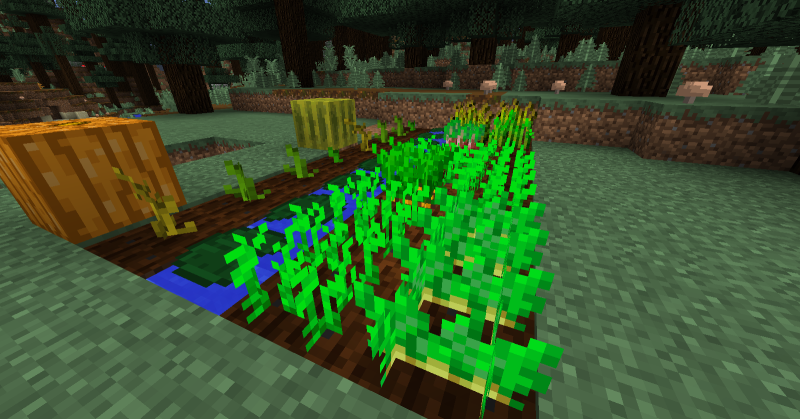 Plik:Zast lili w farmerstwie.png