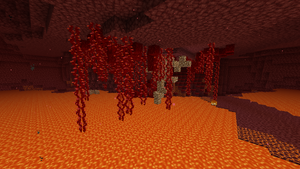 Lamentorośl sufit.png