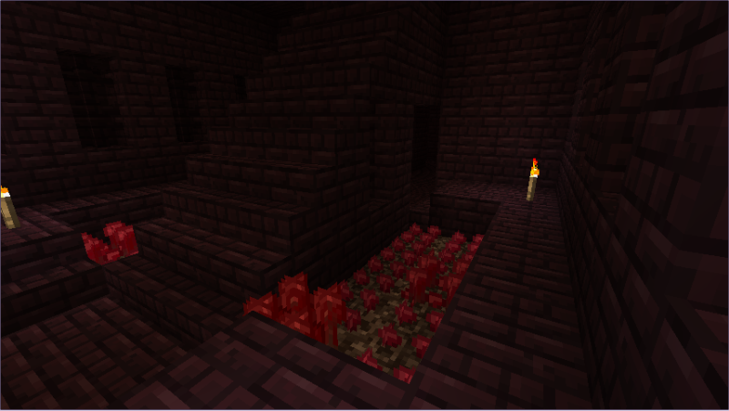 Plik:Brodawki 01.png