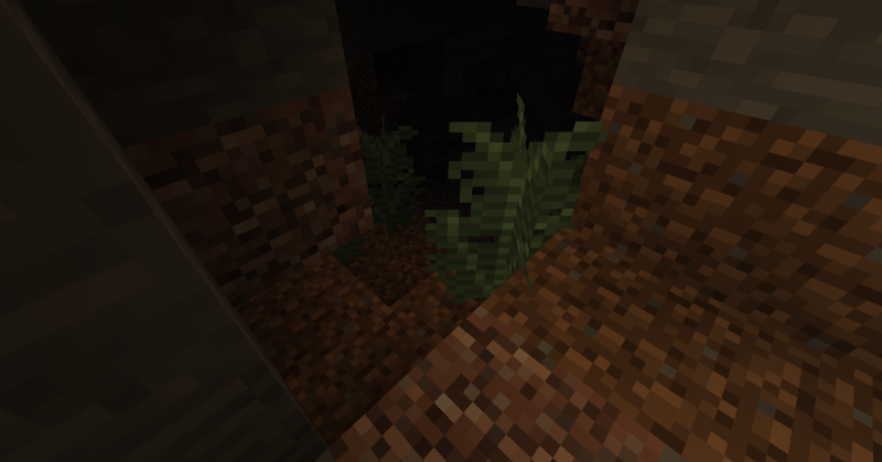 Plik:Duże paprocie w jaskini.png