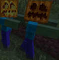 Zombie mogą nosić zarówno dynie jak i Jack o'Lantern.