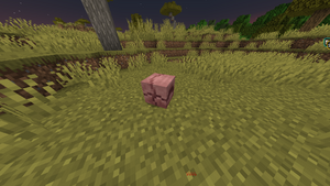 Pancernik schowany.png