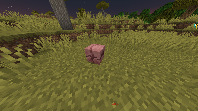 Plik:Pancernik schowany.png