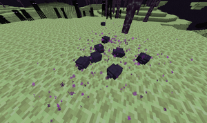 Grupka Endermitów.png