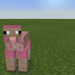 ShearedPink.png