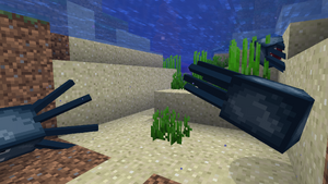 Kałamarnice naturalne.png