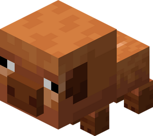 Ciepłolubna świnia dziecko.png