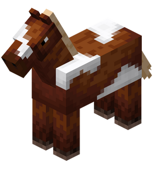Chestnut Horse with White Field.png