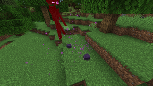 Endermit atakuje endermana.png