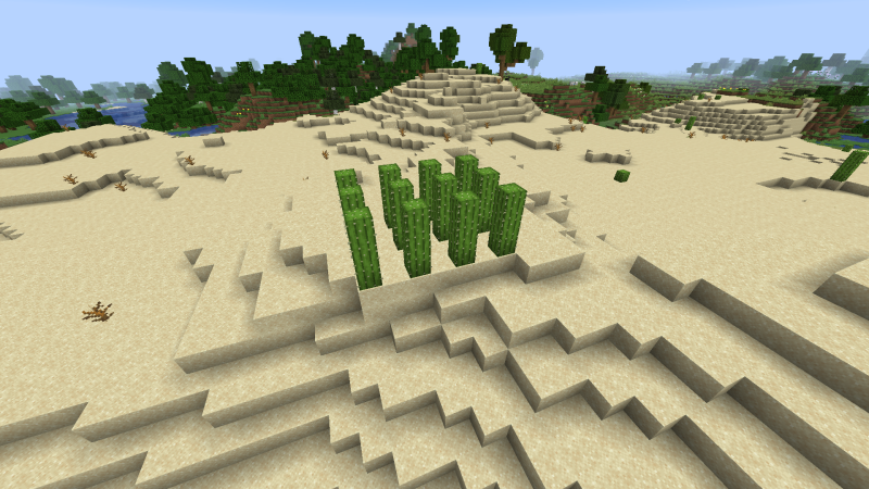 Plik:Kaktusy uprawa.png