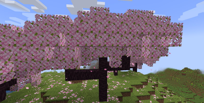 Plik:Wiśniowe drzewa.png