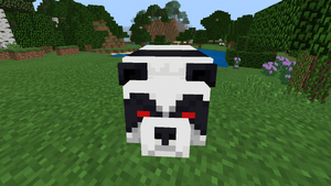 Agresywna panda (stara BE).png