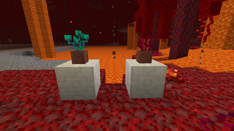 Plik:Korzenie w doniczkach.png