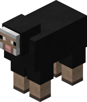 Owca czarna przed 1.12.png