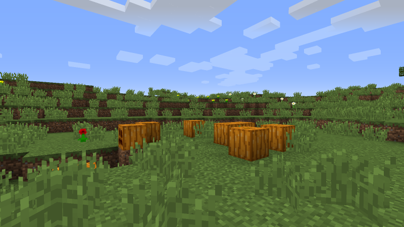 Plik:Naturalnie wygenerowane dynie.png