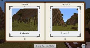 Przykładowe zdjęcia zrobione aparatem w portfolio.png