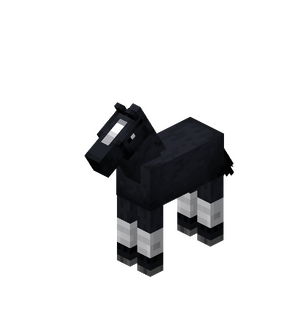 Black Baby Horse with White Stockings.png