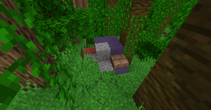 Naturalne ruiny szlaku.png