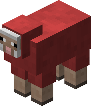 Owca czerwona przed 1.12.png