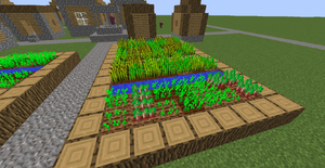 Buraki we wiosce.png