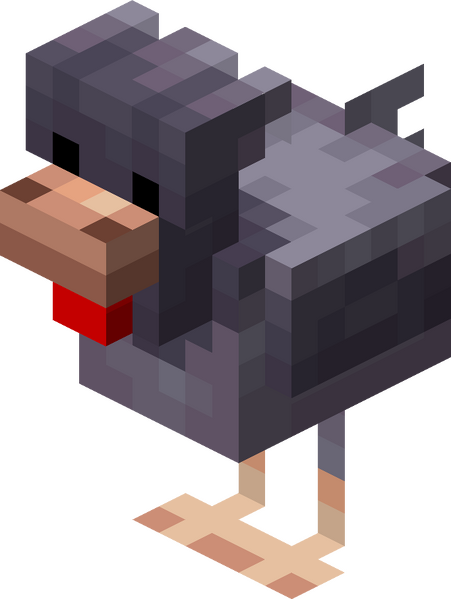 Plik:Zimnolubna kura.png