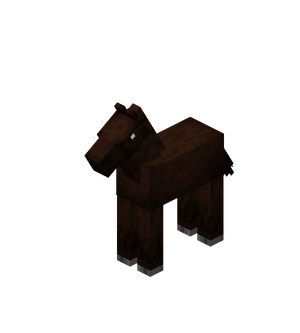 Darkbrown Baby Horse.png