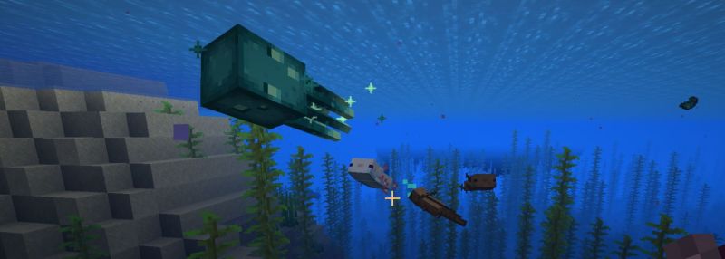 Plik:Aksolotle atak.jpg