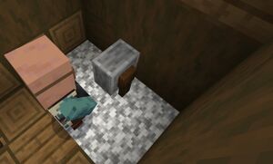 Kamień szlifierski w wiosce.jpg