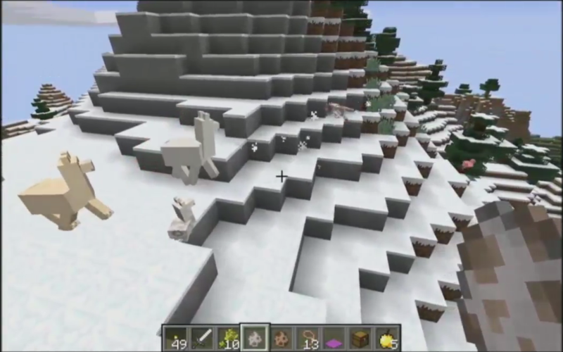 Plik:Minecon2016 11.png