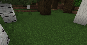 RainforestGrass.png