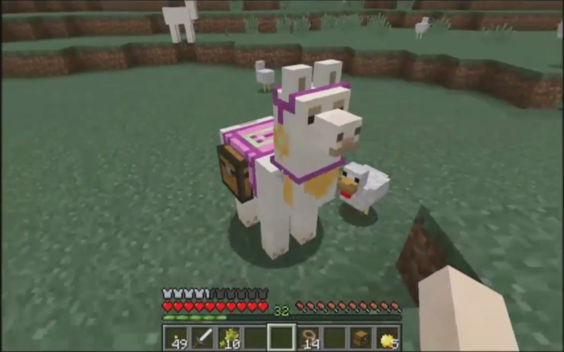 Plik:Minecon2016 09.png