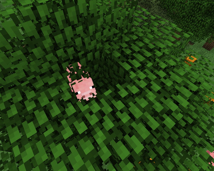 Plik:Świnia drz.png