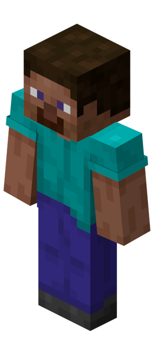 Steve.png