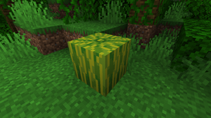 Naturalnie wygenerowany arbuz.png